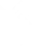 NSN