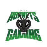 Black Hornets Gaming