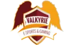 Valkyrie eSports