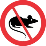 No Rats