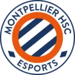 MHSC Esport