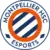 MHSC Esport