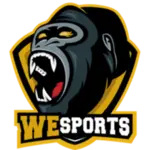 WeSports