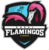 Miami Flamingos