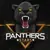 Panthers Stars